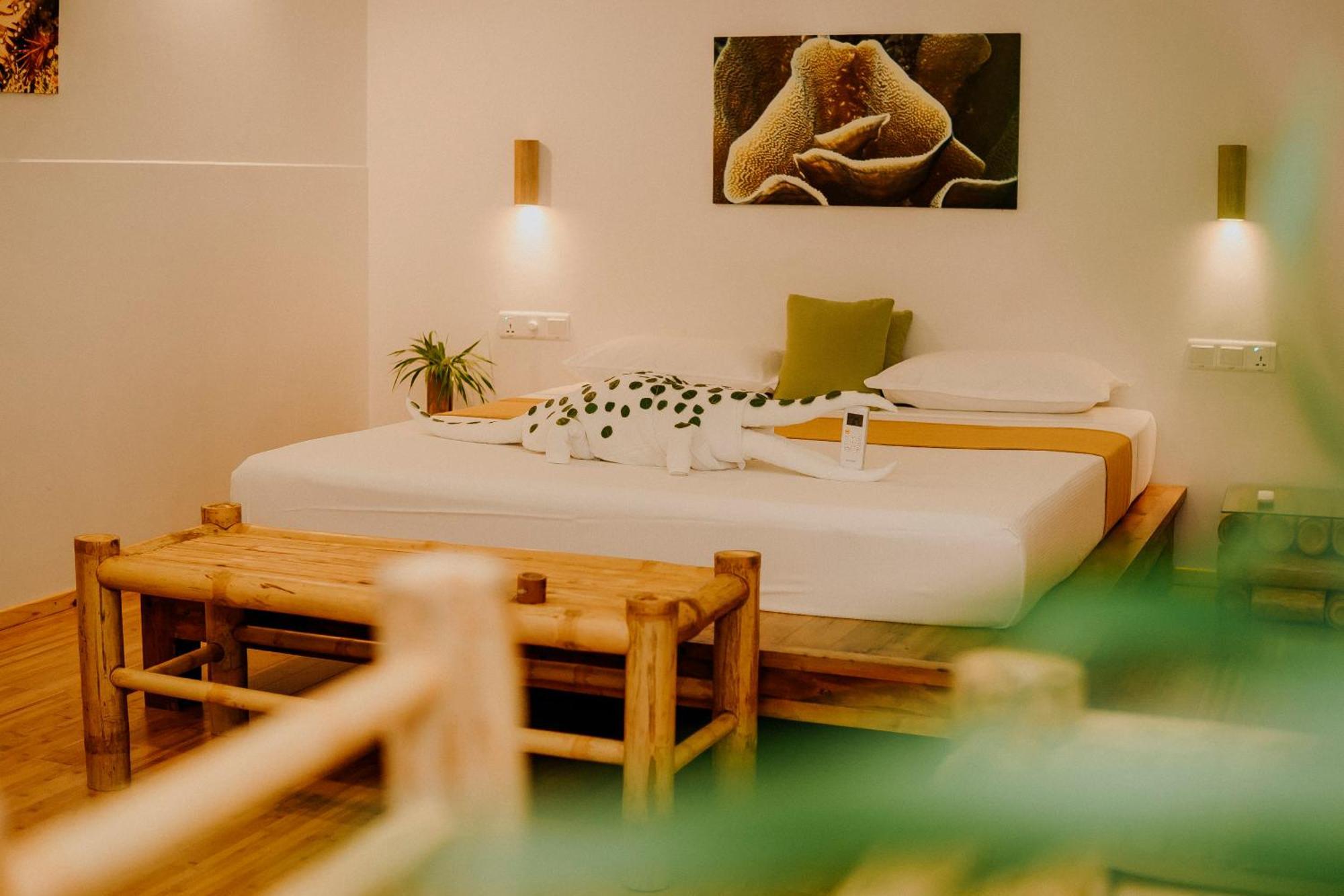 Ecoboo Maldives Hotell Thinadhoo  Eksteriør bilde